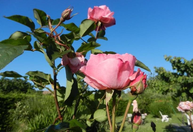 Bed & Breakfast Primavera