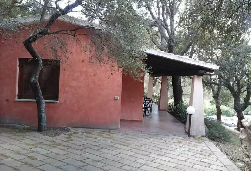 ホテル Agriturismo Muzzu