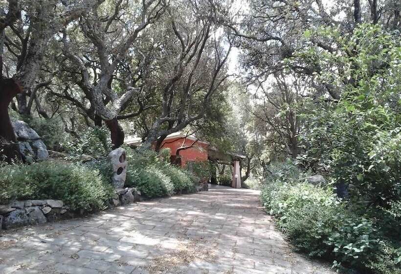 호텔 Agriturismo Muzzu