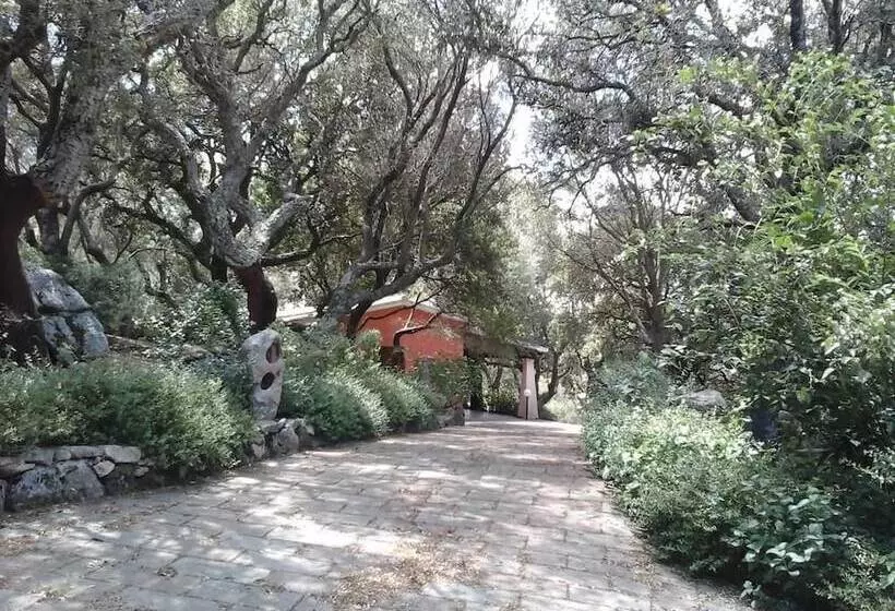 ホテル Agriturismo Muzzu