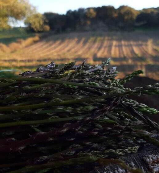 호텔 Agriturismo Muzzu