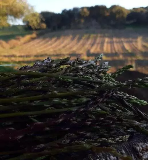 ホテル Agriturismo Muzzu