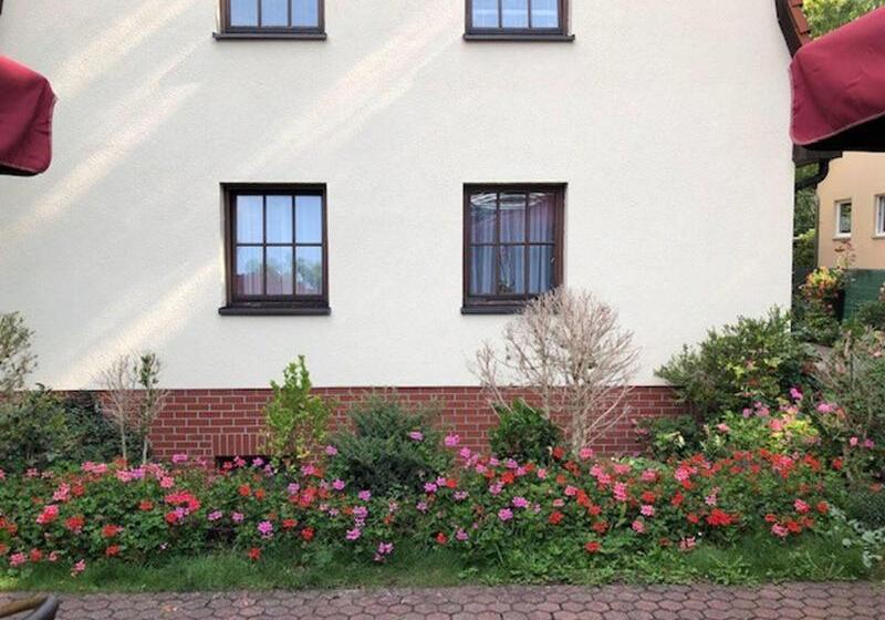 בית מלון כפרי & Restaurant Diana