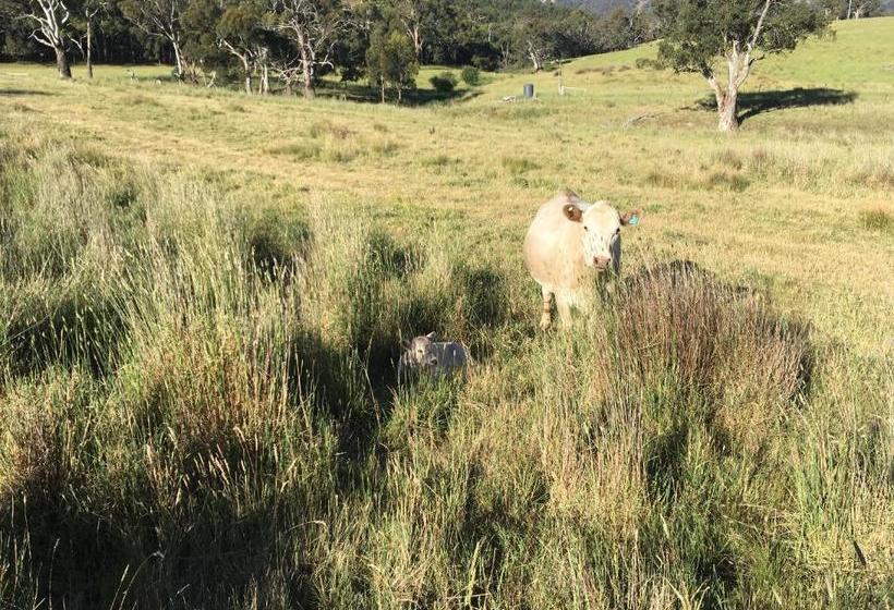 田舎風ホテル Country Budget