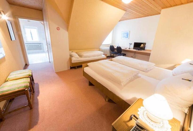 בית מלון כפרי Thielmann