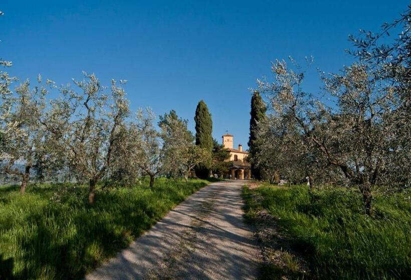 Il Torrino Del Povile