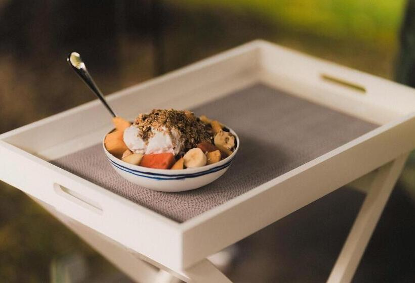 Palm Grove Rainforest Retreat