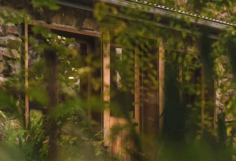 Palm Grove Rainforest Retreat