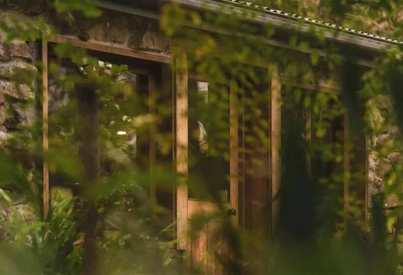 Palm Grove Rainforest Retreat