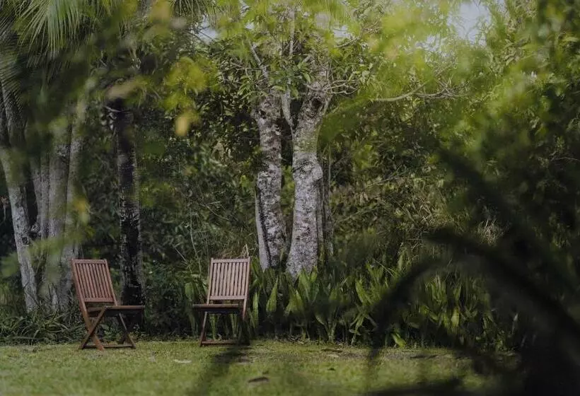 Palm Grove Rainforest Retreat
