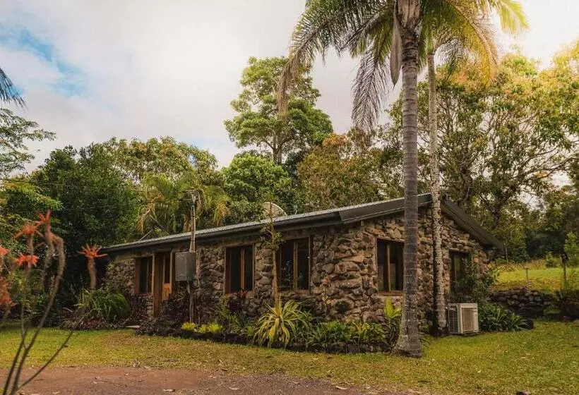 Palm Grove Rainforest Retreat
