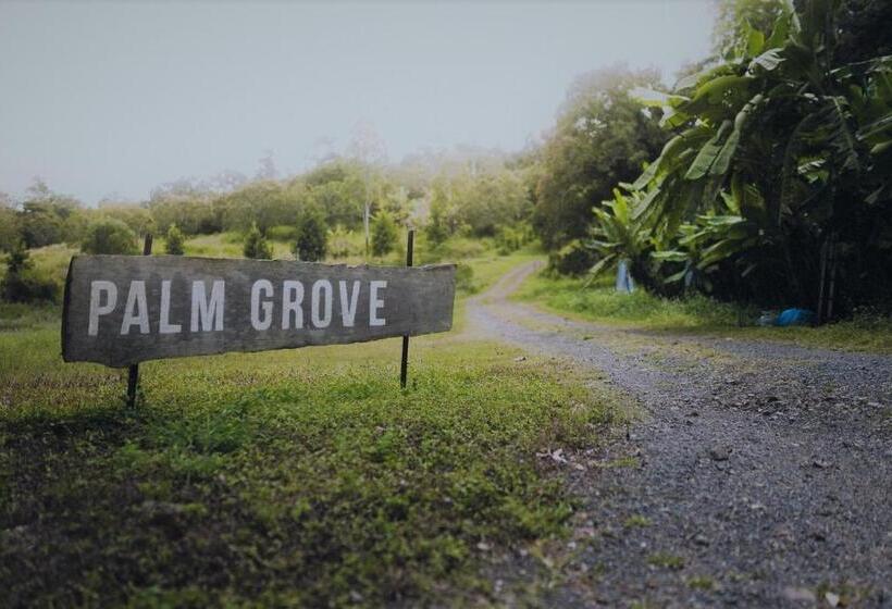 Palm Grove Rainforest Retreat