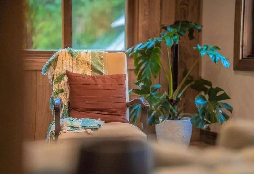 Palm Grove Rainforest Retreat