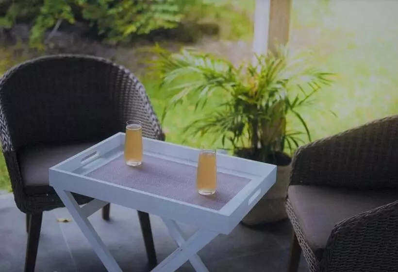 Palm Grove Rainforest Retreat