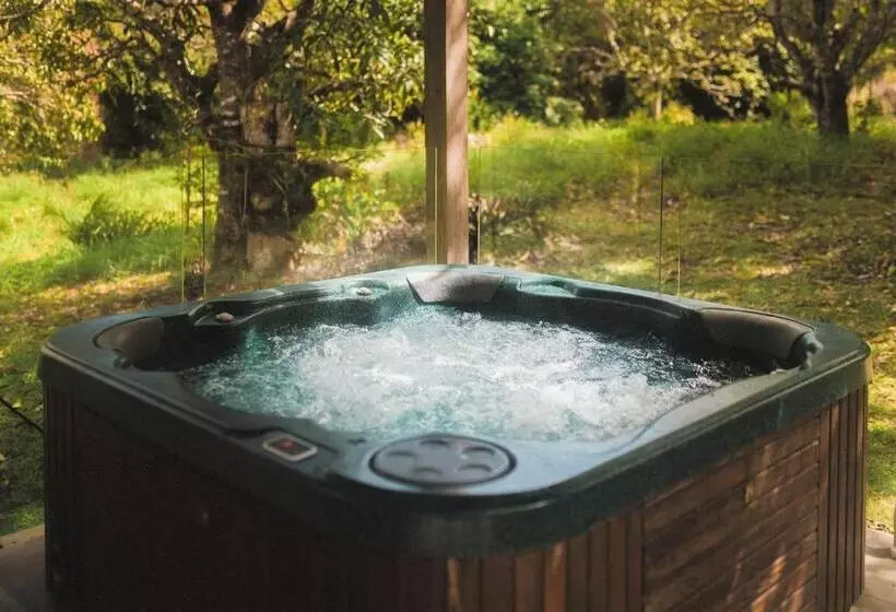 Palm Grove Rainforest Retreat