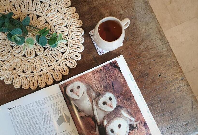 Palm Grove Rainforest Retreat