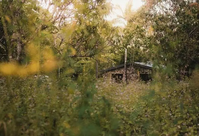 Palm Grove Rainforest Retreat