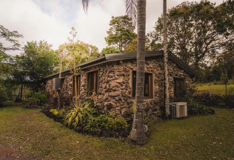 Palm Grove Rainforest Retreat