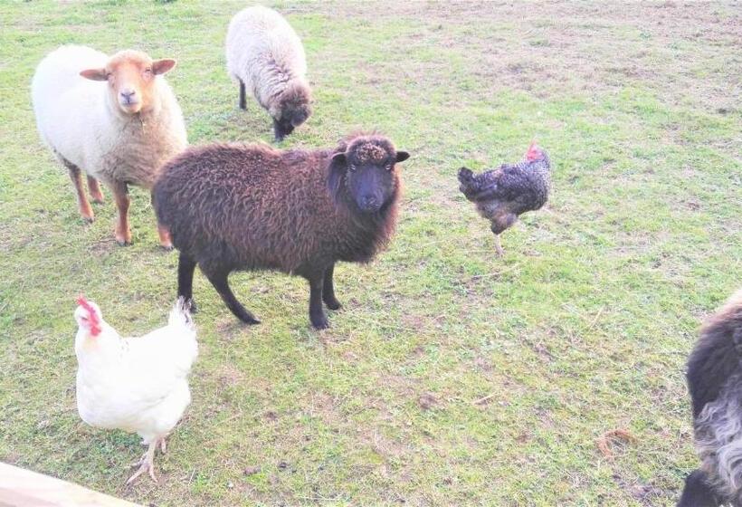 펜션 Domaine Du Plessis Grimaud