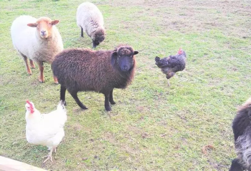 Majatalo Domaine Du Plessis Grimaud