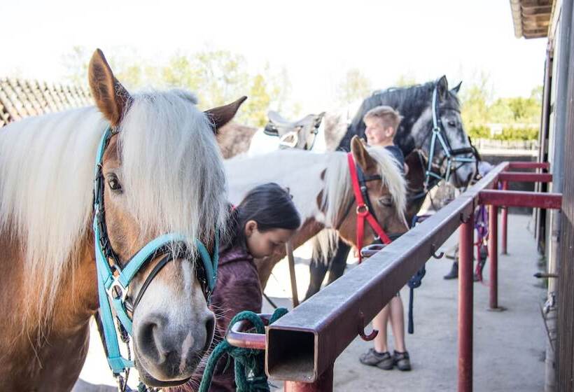 Reiter  Und Ferienhof Storchennest
