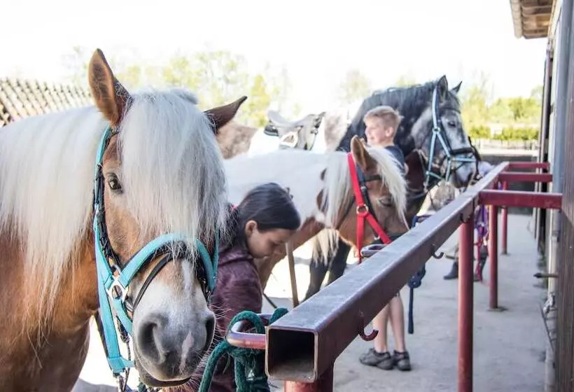 Reiter  Und Ferienhof Storchennest