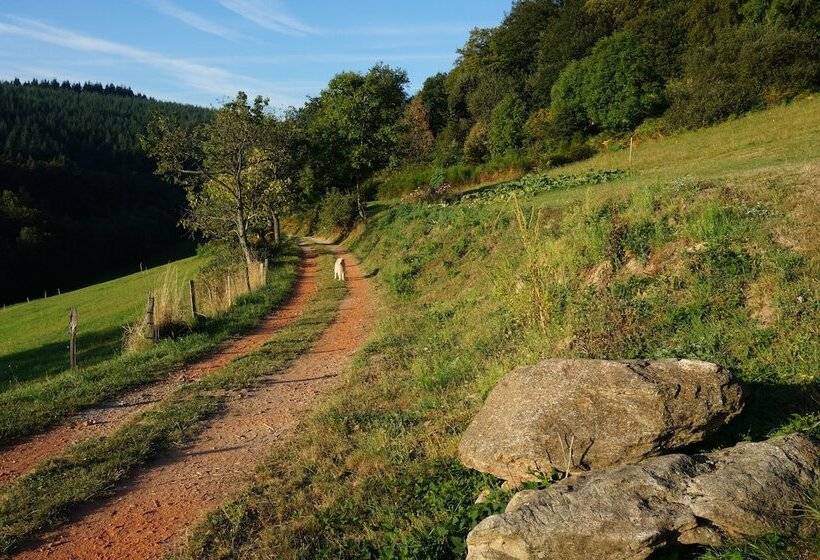 مبيت وإفطار Auberge Du Thiollet