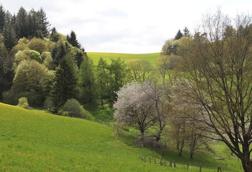 مبيت وإفطار Auberge Du Thiollet