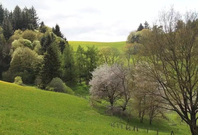 Aamiaismajoitus (B&B) Auberge Du Thiollet