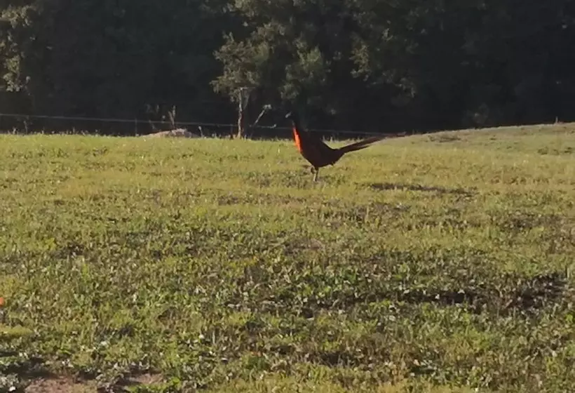 ベッドアンドブレックファースト Domaine De La Frissonnette