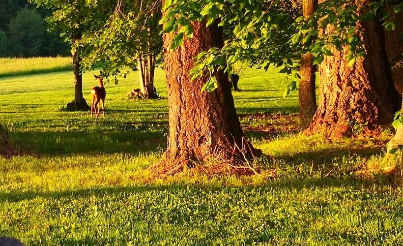 צימר Domaine De La Frissonnette