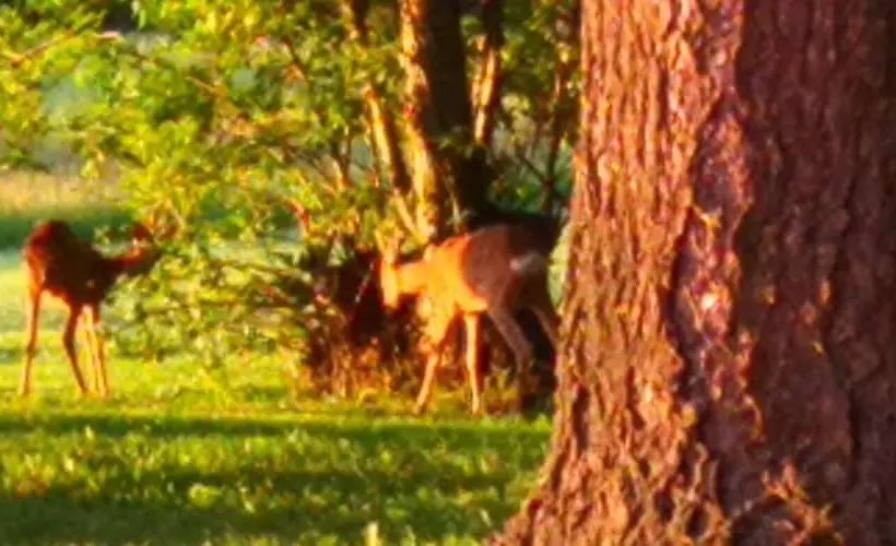 ベッドアンドブレックファースト Domaine De La Frissonnette