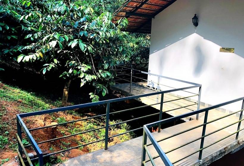 酒店 Cg Ala  The Coffee Grove