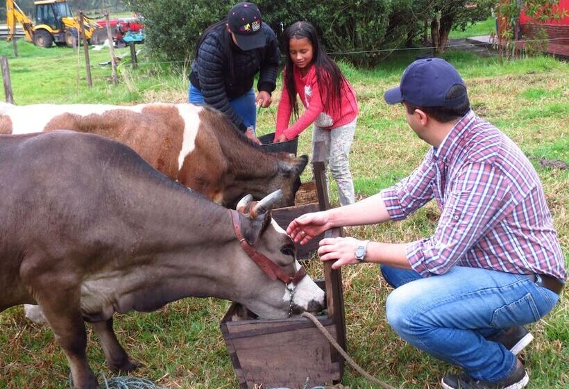 בית מלון כפרי La Victoria Glamping