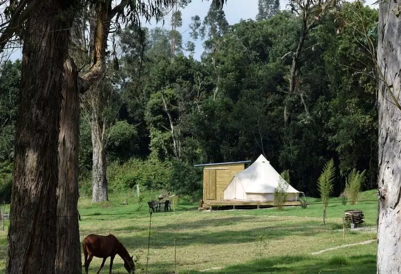 ホテル La Victoria Glamping