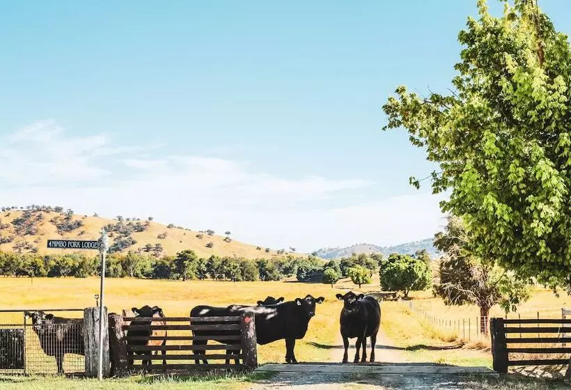 Hotelli Nimbo Fork Lodge