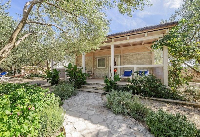 בית מלון כפרי Olive Garden Camp Resort