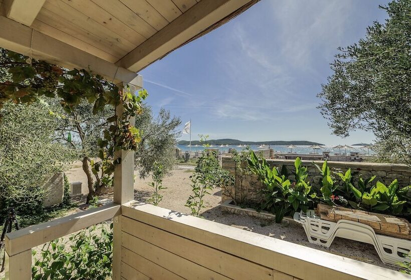 בית מלון כפרי Olive Garden Camp Resort