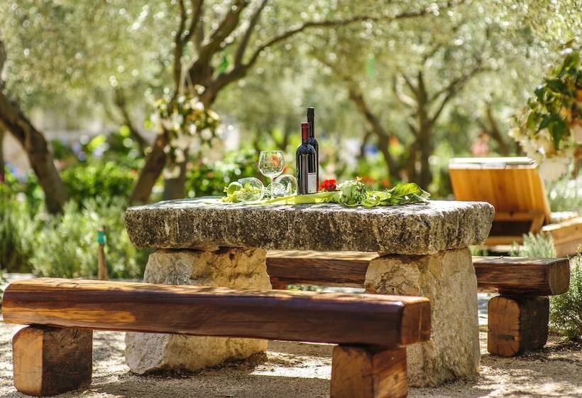 בית מלון כפרי Olive Garden Camp Resort