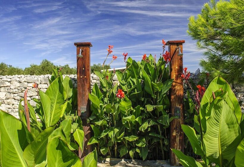 בית מלון כפרי Olive Garden Camp Resort