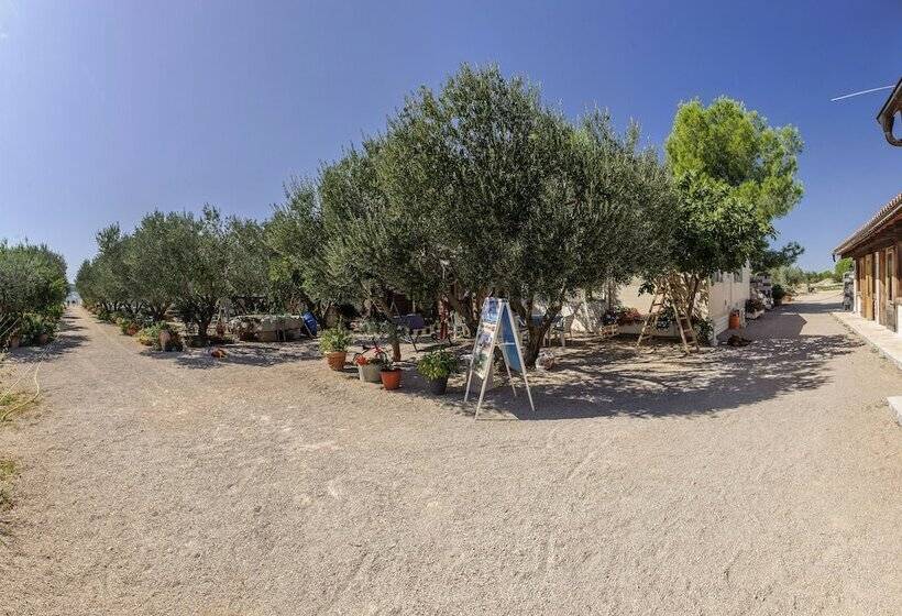 בית מלון כפרי Olive Garden Camp Resort