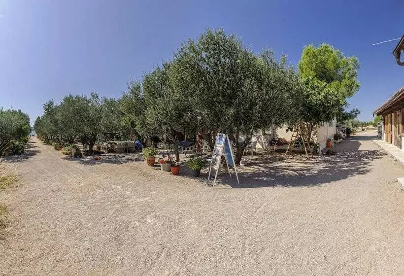 Hotelli Olive Garden Camp Resort