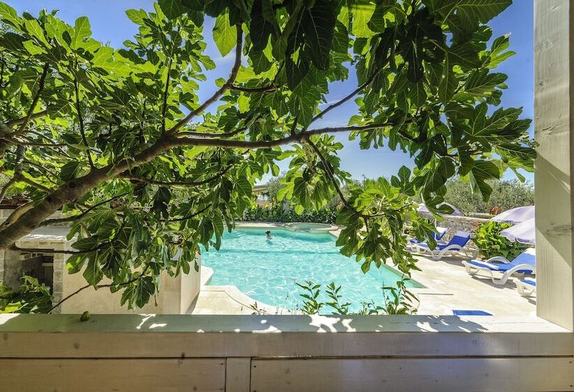 בית מלון כפרי Olive Garden Camp Resort