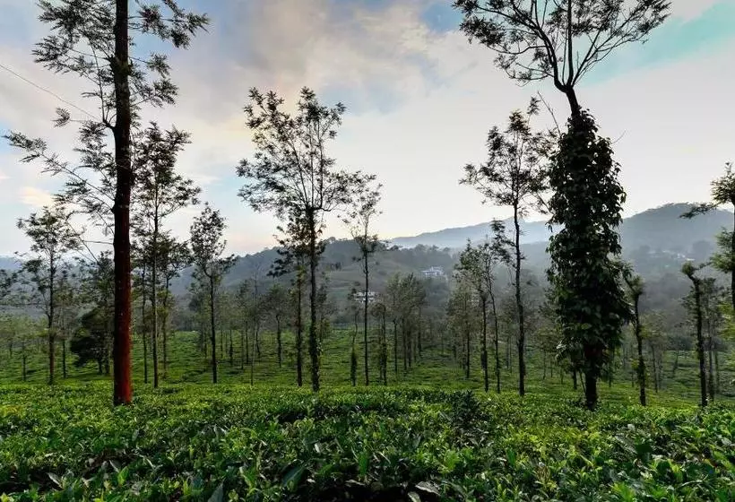 Hotelli Garden View 2bhk Abode In Sultan Bathery