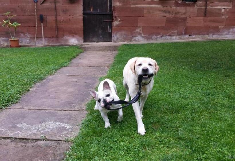 פנסיון Chambres D Hôtes Au Freidbarry