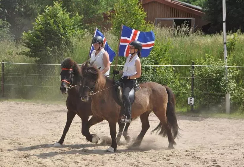 Majatalo Gästehaus Burgwald Trekking