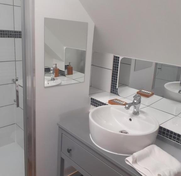 بنسيون La Grenouillere