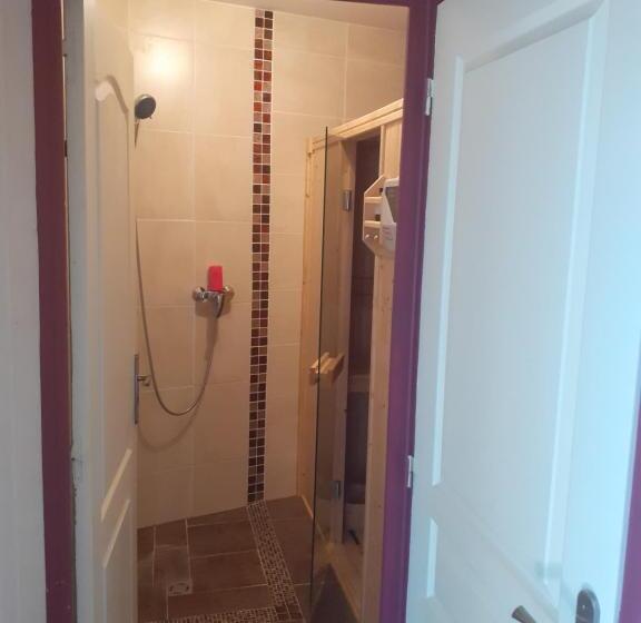 بنسيون La Grenouillere