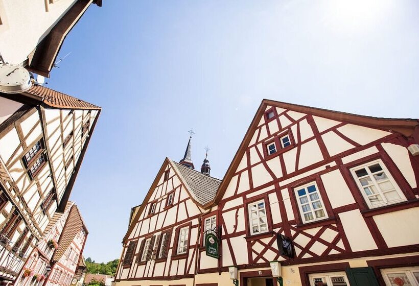 פנסיון Schmidtburger Hof