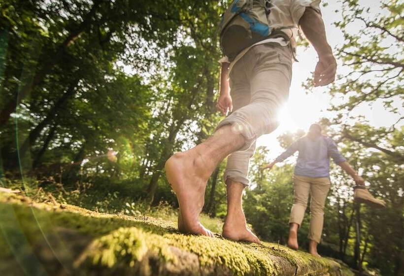 פנסיון Schmidtburger Hof